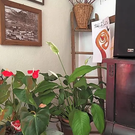 Oda ve Kahvaltı Le Lierre