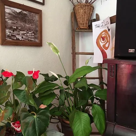 Bed & Breakfast Le Lierre *