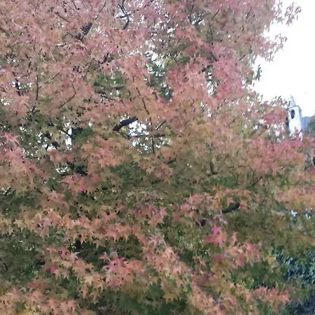 Le Lierre Couette-café Châtillon