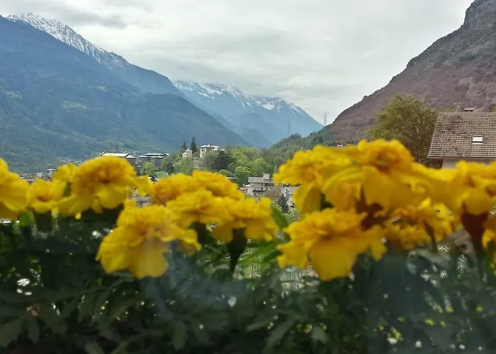 Bed & Breakfast Le Lierre