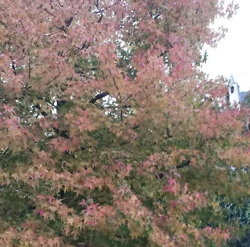 Le Lierre Bed & Breakfast Châtillon